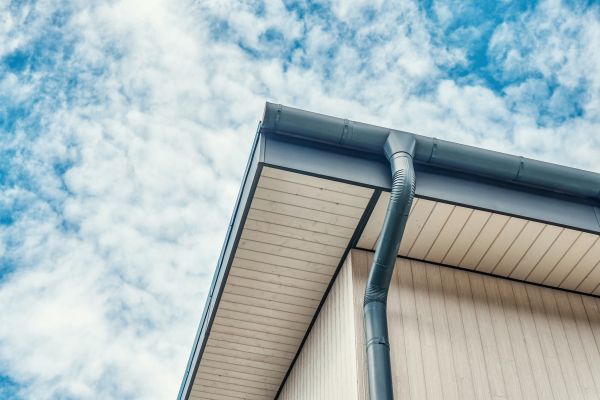 Gutter Fascia Repair in Duluth